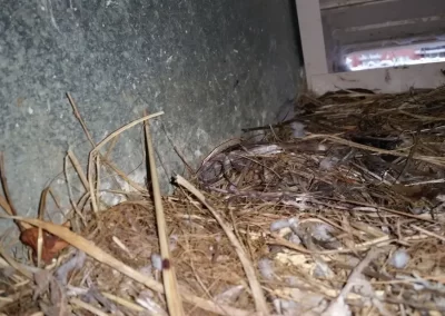 Home Air Duct Cleaning